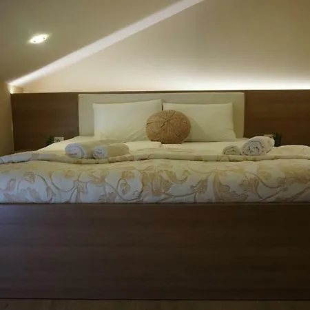 And Soca 코바리드