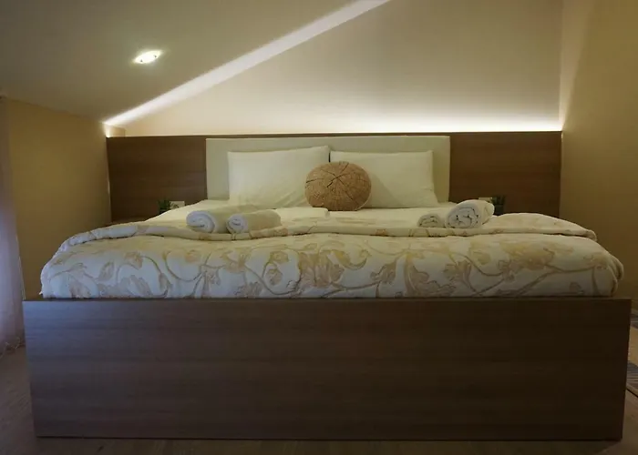 And Soca 科巴里德